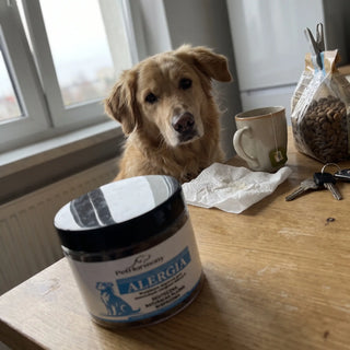 PetHarmony ALERGIA – opakowanie na kuchennym blacie, pies obok